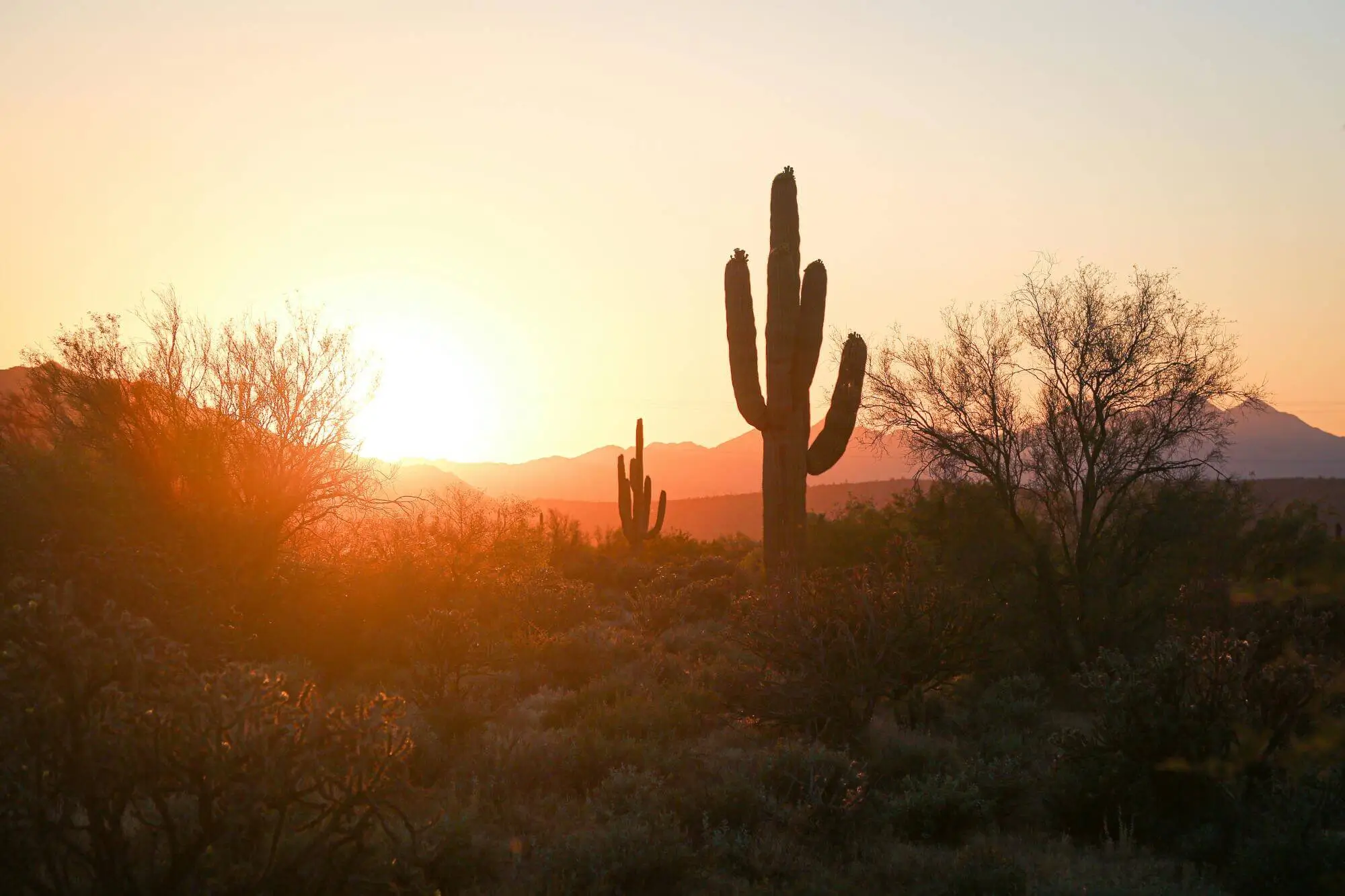 Why Choose Full-Service Property Management in Phoenix, AZ?